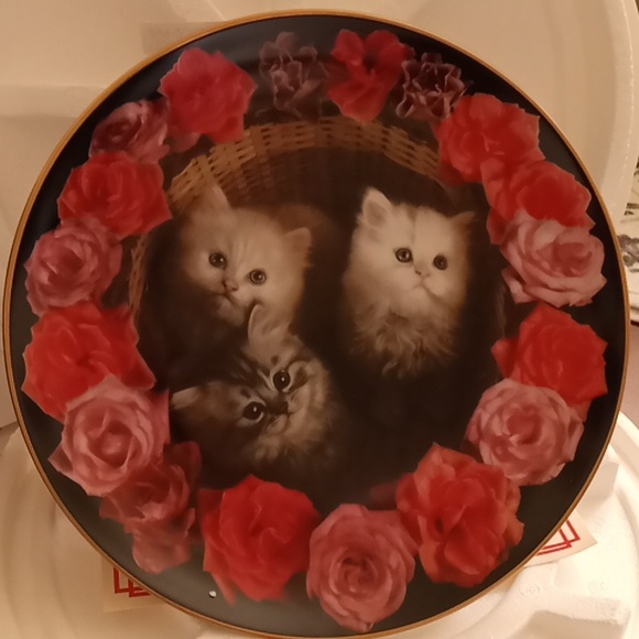 Danbury Mint Plate Collection "Coming Up Roses" 8Plates - Picture 7 of 16